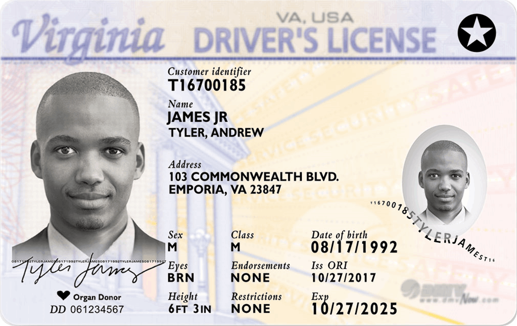 Licencias Virginia